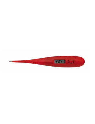 Digital Thermometer Kelvin