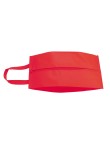 Shoe Bag Recco