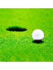Golf Ball Nessa