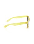 Sunglasses Nival