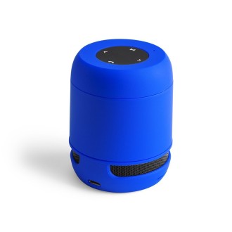 Speaker Braiss
