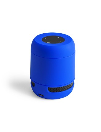 Speaker Braiss