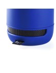 Speaker Braiss