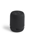 Speaker Braiss