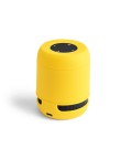 Speaker Braiss