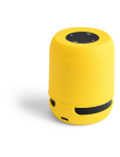 Speaker Braiss
