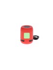 Speaker Braiss