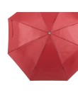 Umbrella Ziant
