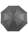 Umbrella Ziant