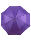 Umbrella Ziant