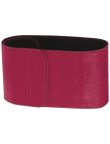 Back Support Belt Visser
