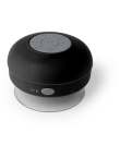 Speaker Rariax