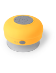 Speaker Rariax