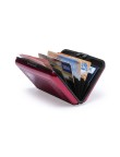 Card Holder Rainol