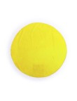 Beach Mat Hansier