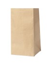 Bag Ragnar