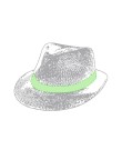 Hat Bauwens