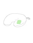 Pillow Condord