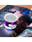 Speaker Viancos