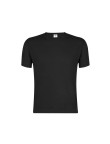 Adult Colour T-Shirt 