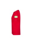 Adult Colour T-Shirt 