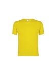 Adult Colour T-Shirt 