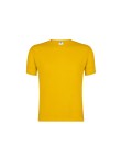 Adult Colour T-Shirt 