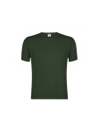 Adult Colour T-Shirt 