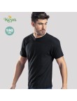 Adult Colour T-Shirt 