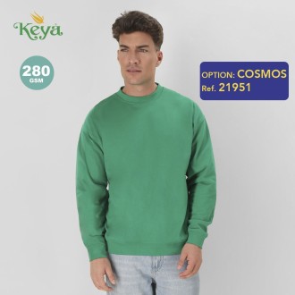 Adult Sweatshirt 