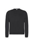 Adult Sweatshirt 
