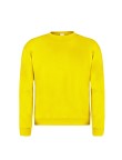 Adult Sweatshirt 
