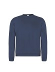 Adult Sweatshirt 