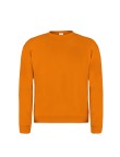 Adult Sweatshirt 