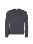 Adult Sweatshirt 
