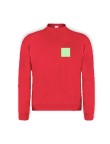 Adult Sweatshirt 