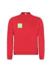 Adult Sweatshirt 