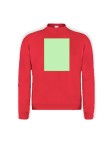 Adult Sweatshirt 