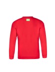 Adult Sweatshirt 