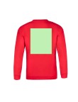 Adult Sweatshirt 