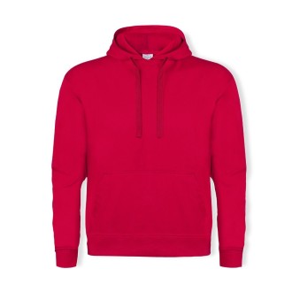 Adult Hooded Sweatshirt 