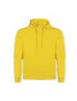 Adult Hooded Sweatshirt 