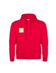 Adult Hooded Sweatshirt 