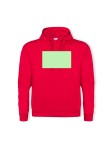 Adult Hooded Sweatshirt 