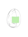 Hairbrush Tramux