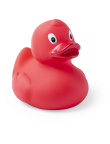 Duck Koldy