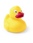 Duck Koldy