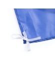 Flag Dambor