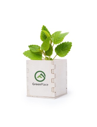 Flowerpot Merin