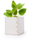 Flowerpot Merin